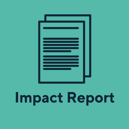 Impact-Report