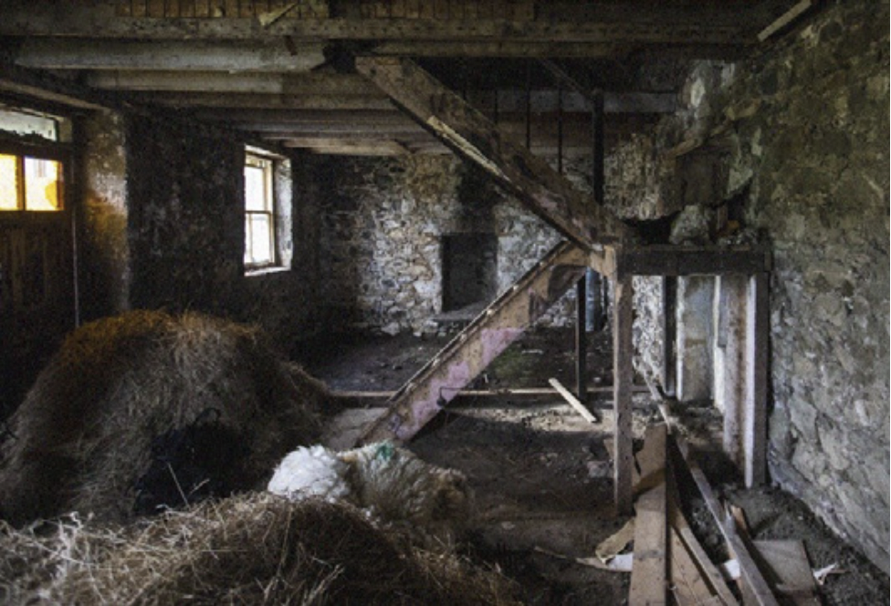 Photo of inside house in disrepair